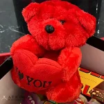 عروسک خرس قلبدار پولیشی خارجی