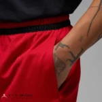 شلوارک مردانه نایک مدل Jordan Sport