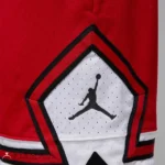 شلوارک مردانه نایک مدل Jordan Sport