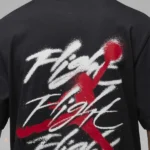 تی شرت مردانه نایک مدل Jordan Graphic